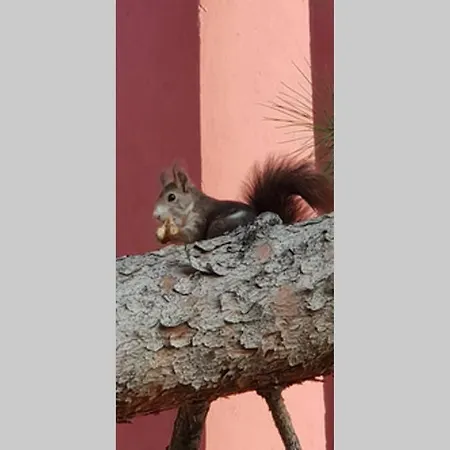La Muralla Roja * Calpe